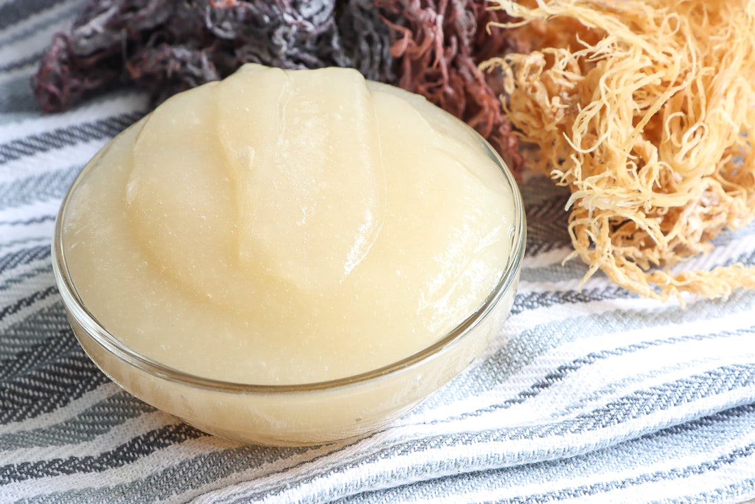 Discover the Skin Benefits of Sea Moss